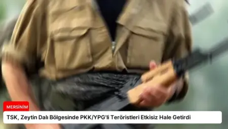 TSK, Zeytin Dalı Bölgesinde PKK/YPG’li Teröristleri Etkisiz Hale Getirdi