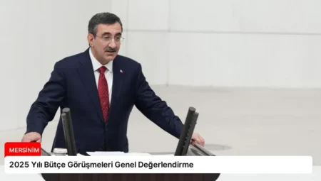 2025 Yılı Bütçe Görüşmeleri Genel Değerlendirme