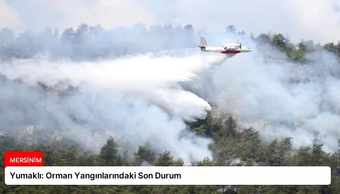 Yumaklı: Orman Yangınlarındaki Son Durum