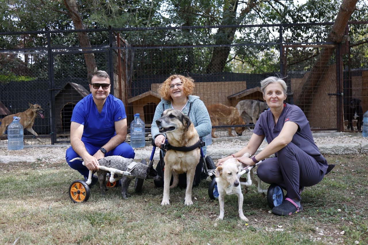 Sokak hayvanları için umudun adresi bakanlık onaylı bakım evi oldu