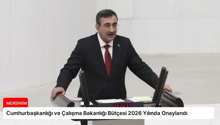 Cumhurbaşkanlığı ve Çalışma Bakanlığı Bütçesi 2026 Yılında Onaylandı