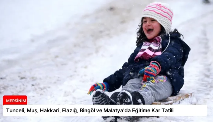 Tunceli, Muş, Hakkari, Elazığ, Bingöl ve Malatya’da Eğitime Kar Tatili