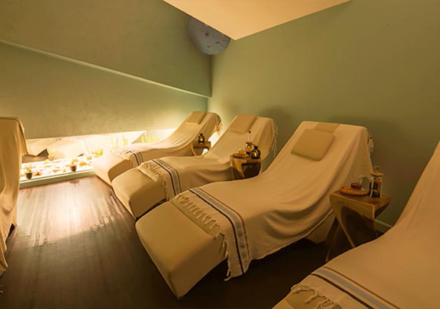 İstanbul Yerel Hizmet Ağında Profesyonel Terapi Standartları ve Bölgesel Analiz