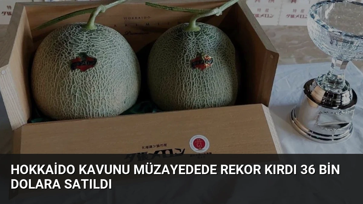 Hokkaido Kavunu Müzayedede Rekor Kırdı 36 Bin Dolara Satıldı