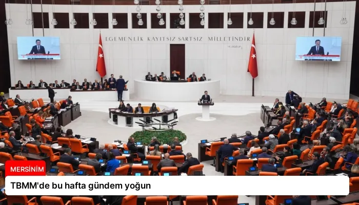 TBMM’de bu hafta gündem yoğun