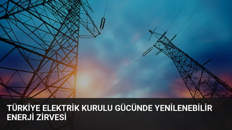 Türkiye Elektrik Kurulu Gücünde Yenilenebilir Enerji Zirvesi