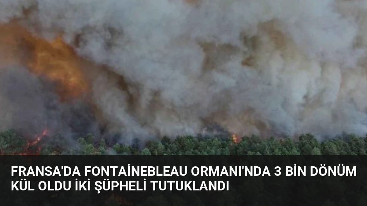 Fransa’da Fontainebleau Ormanı’nda 3 bin dönüm kül oldu İki şüpheli tutuklandı