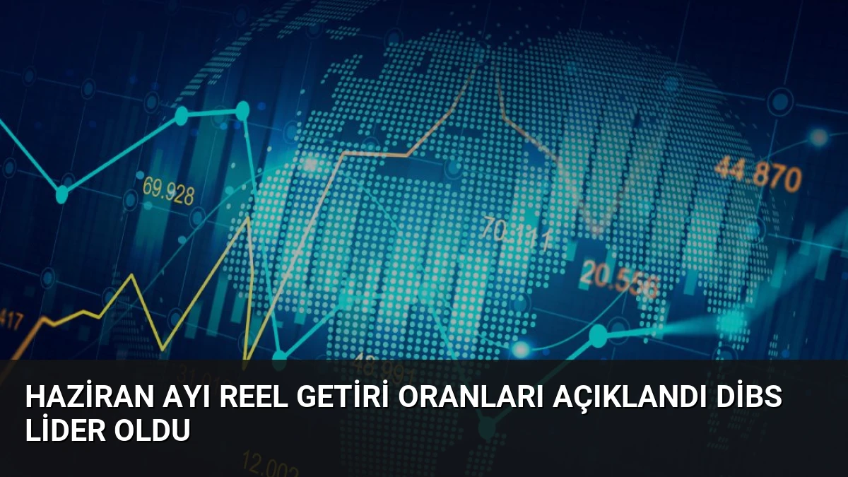 Haziran Ayı Reel Getiri Oranları Açıklandı DİBS Lider Oldu