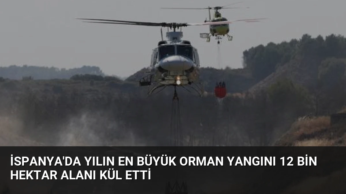 İspanya’da Yılın En Büyük Orman Yangını 12 Bin Hektar Alanı Kül Etti