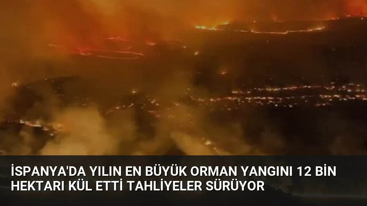 İspanya’da Yılın En Büyük Orman Yangını 12 Bin Hektarı Kül Etti Tahliyeler Sürüyor