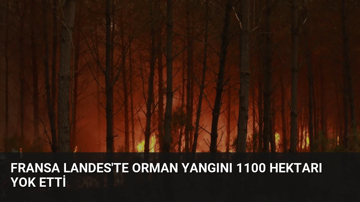Fransa Landes’te Orman Yangını 1100 Hektarı Yok Etti
