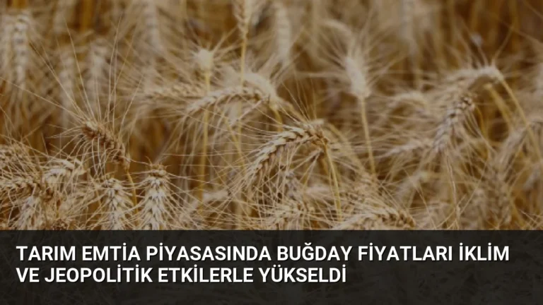 Tarım Emtia Piyasasında Buğday Fiyatları İklim ve Jeopolitik Etkilerle Yükseldi