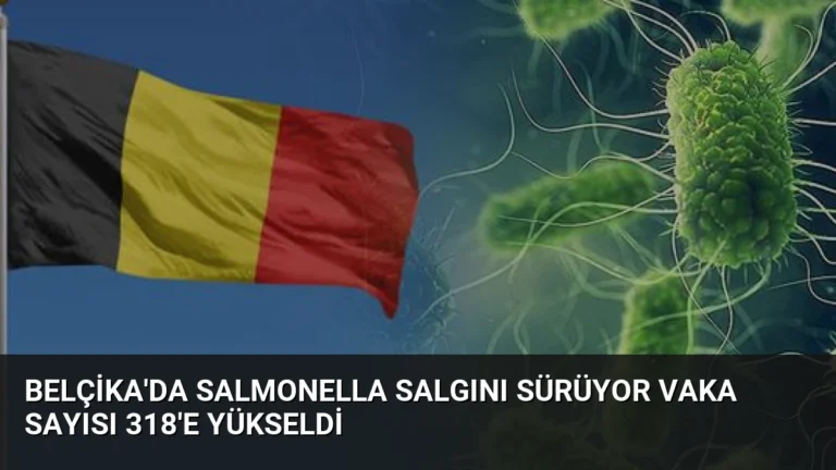 Belçika’da Salmonella Salgını Sürüyor Vaka Sayısı 318’e Yükseldi