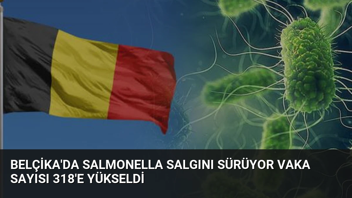 Belçika’da Salmonella Salgını Sürüyor Vaka Sayısı 318’e Yükseldi