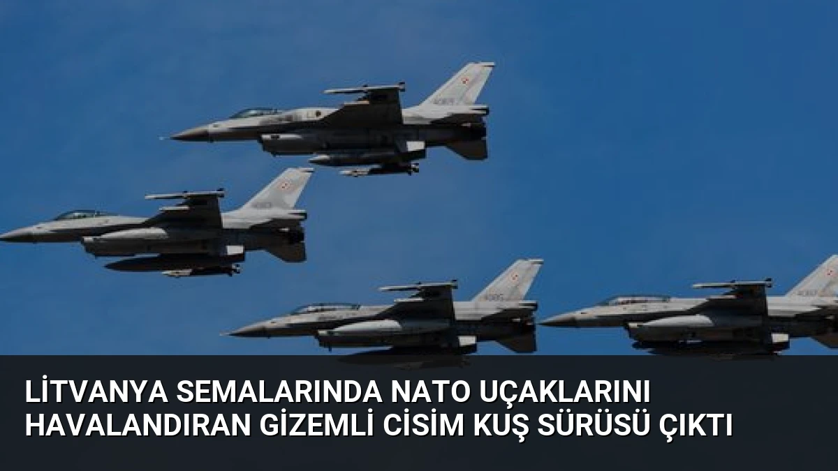 Litvanya semalarında NATO uçaklarını havalandıran gizemli cisim kuş sürüsü çıktı