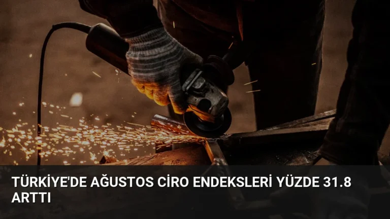 Türkiye’de Ağustos Ciro Endeksleri Yüzde 31.8 Arttı
