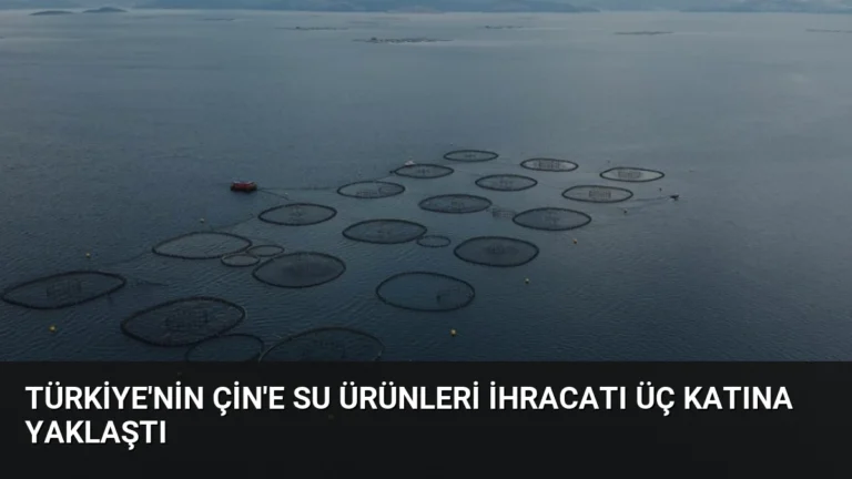 Türkiye’nin Çin’e Su Ürünleri İhracatı Üç Katına Yaklaştı